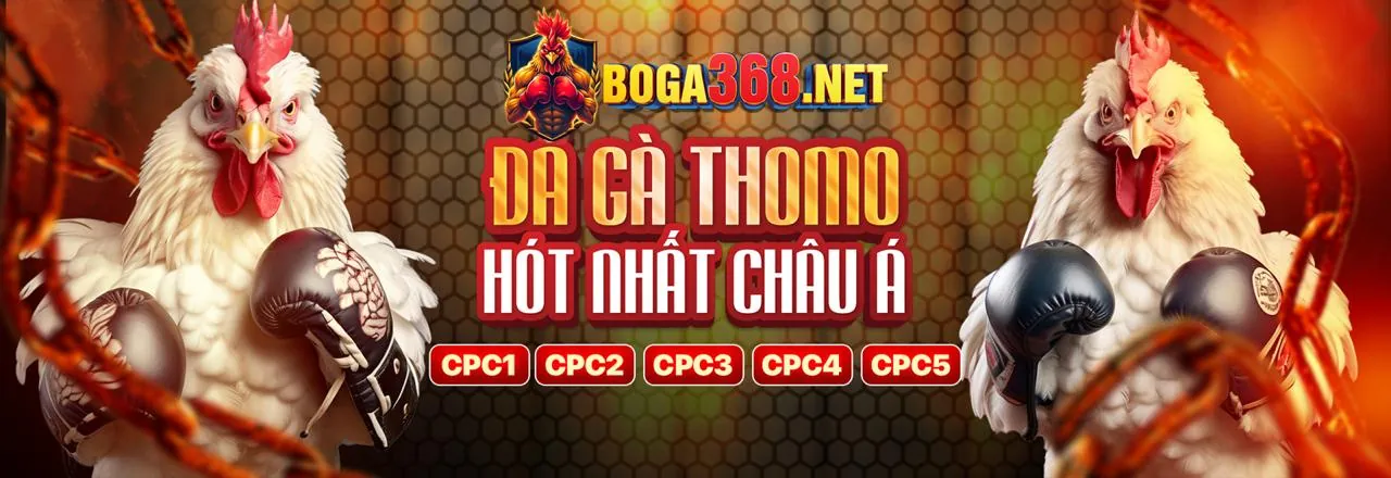 Giao diện cá cược trực tiếp với bảng tỷ số cập nhật và các lựa chọn đặt cược